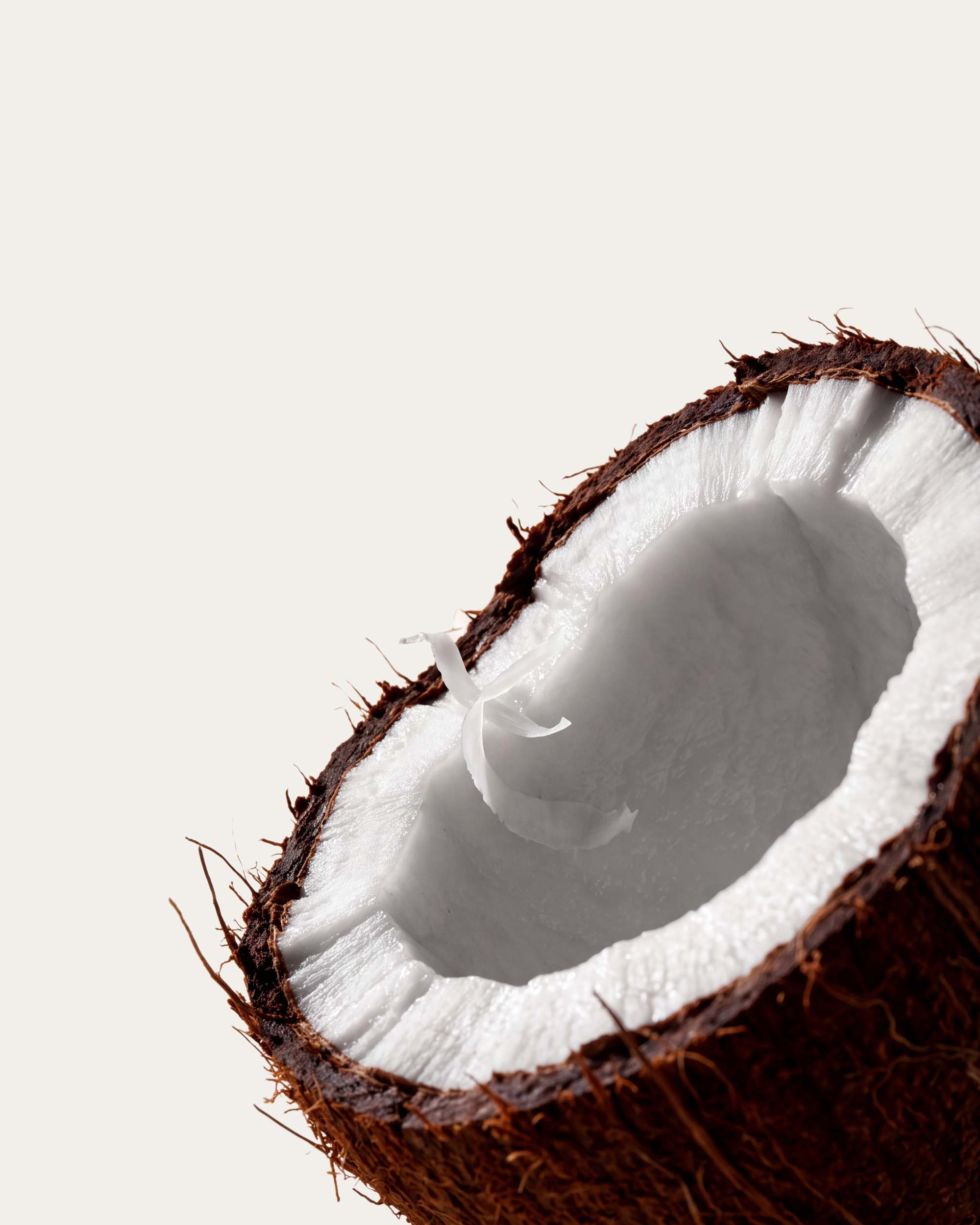 Coconut