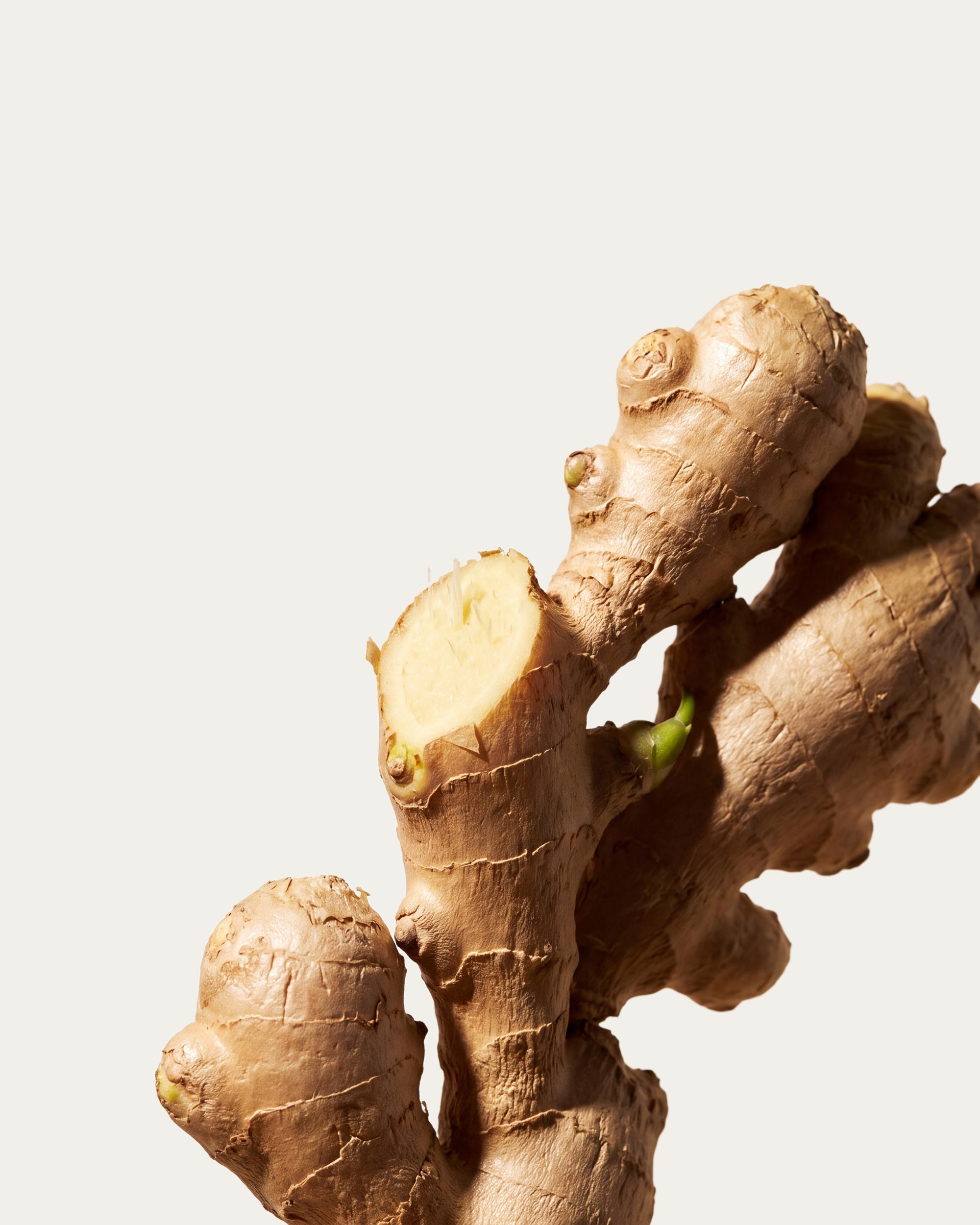 Ginger
